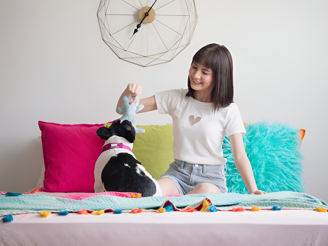 The Importance of Choosing the Right Pet Toys